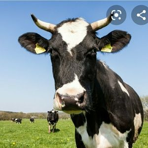 Meet your Posher, Melina